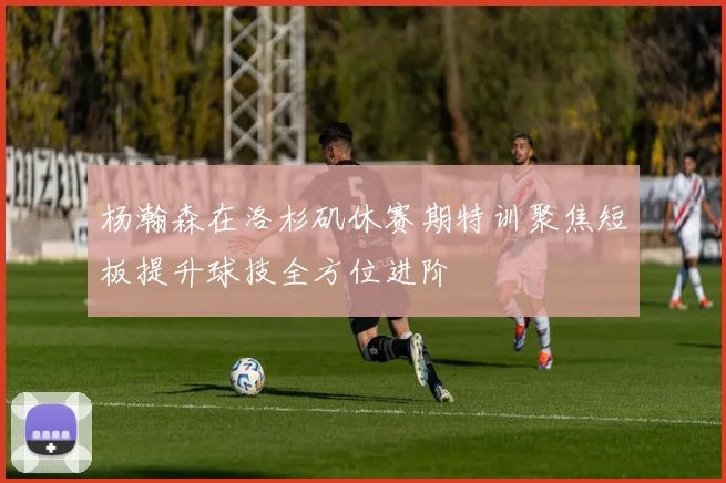 杨瀚森在洛杉矶休赛期特训聚焦短板提升球技全方位进阶