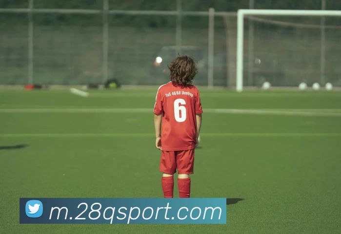 28圈平台生态图